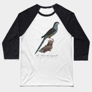 La Perruche Ingambe Parakeet - Jacques Barraband 19th century Illustration Baseball T-Shirt