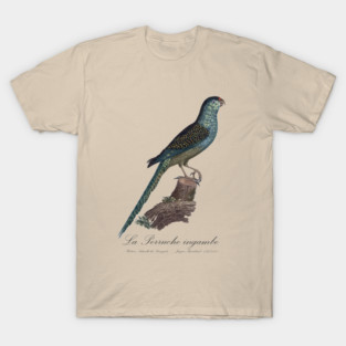 La Perruche Ingambe Parakeet - Jacques Barraband 19th century Illustration T-Shirt