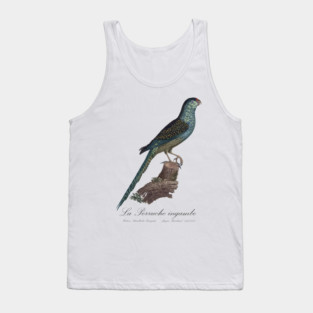 La Perruche Ingambe Parakeet - Jacques Barraband 19th century Illustration Tank Top