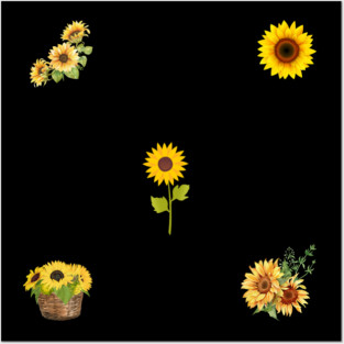 Sunflower lover Posters and Art