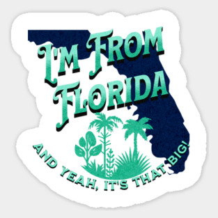 I'm From Florida v1 Teal/Grunge look Magnet