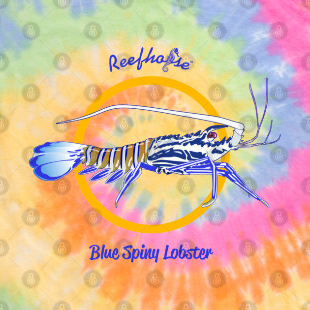 Blue Spiny Lobster by Reefhorse