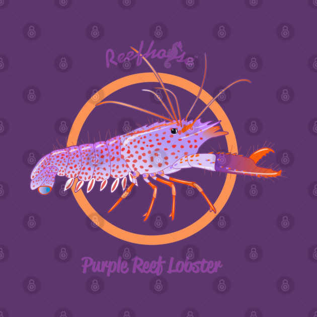 Purple Reef Lobster by Reefhorse
