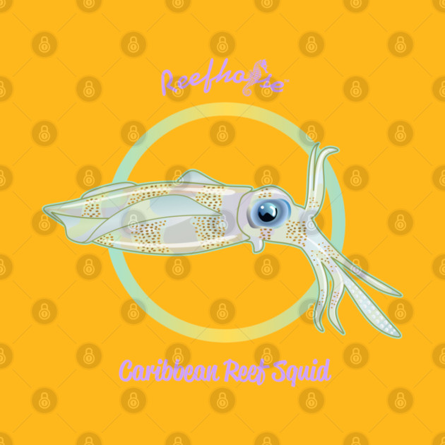 Caribbean Reef Squid by Reefhorse