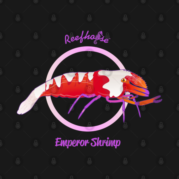 Emperor Shrimp by Reefhorse