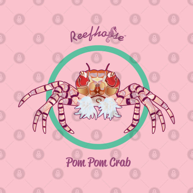 Pom Pom Crab by Reefhorse