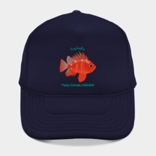 Popeye Catalufa Soldierfish Hat