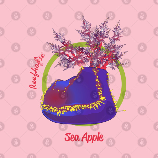 Sea Apple by Reefhorse