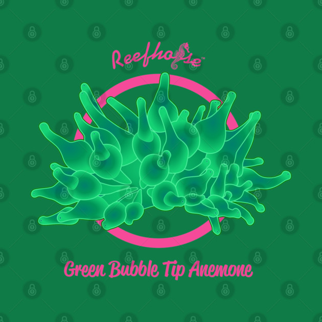 Green Bubble Tip Anemone by Reefhorse