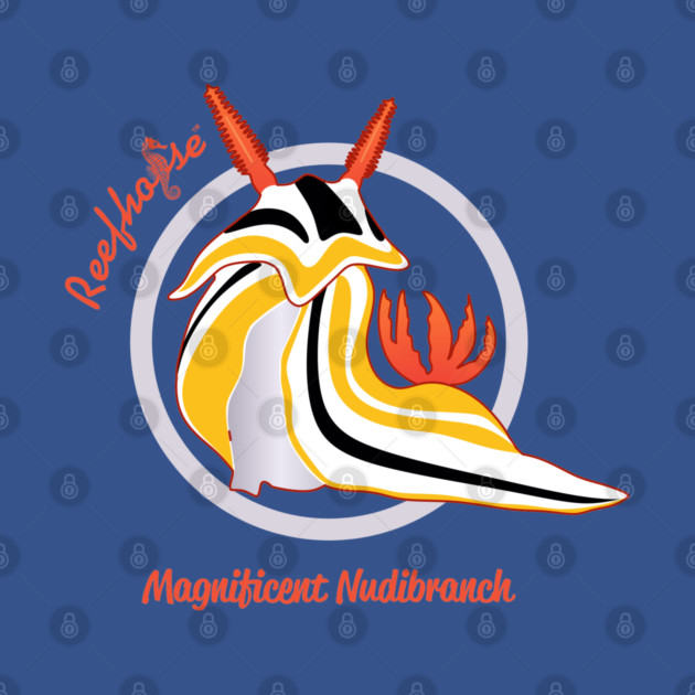 Magnificent Nudibranch by Reefhorse