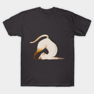 Purrrfection Yoga Cat T-Shirt