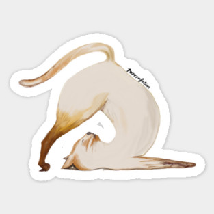 Purrrfection Yoga Cat Magnet