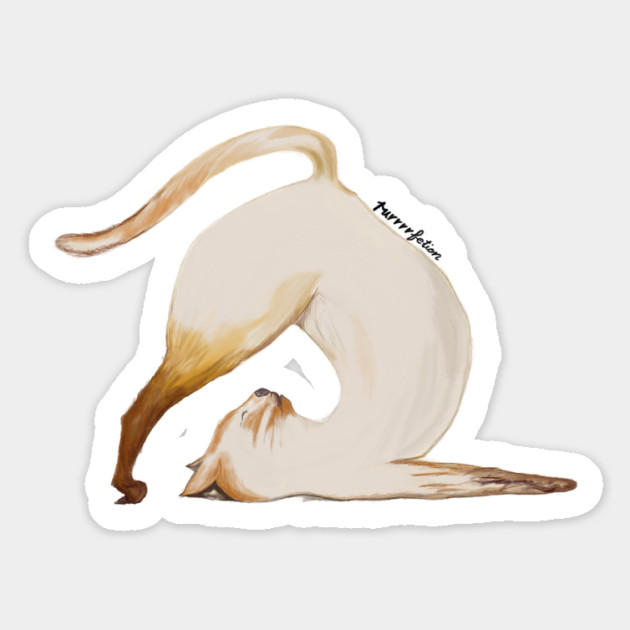 Purrrfection Yoga Cat Magnet by C.Code