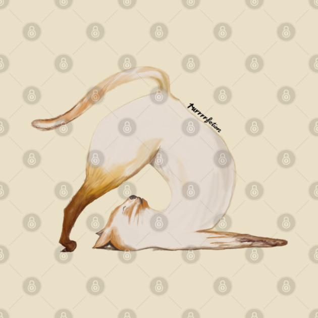 Purrrfection Yoga Cat by C.Code