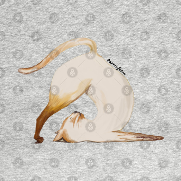 Purrrfection Yoga Cat by C.Code
