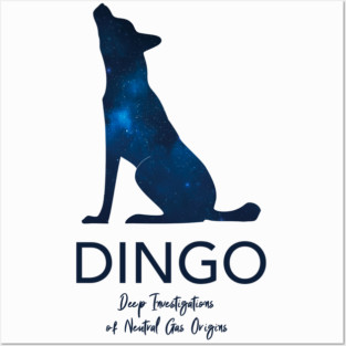 DINGO Posters and Art