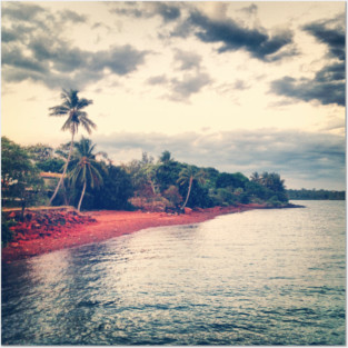 Indo Pacific Coastline Posters and Art