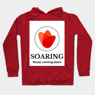 Soaring - Never coming down Hoodie