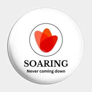 Soaring - Never coming down Pin