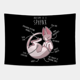 Sphynx Cat Anatomy Tapestry