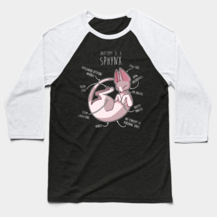 Sphynx Cat Anatomy Baseball T-Shirt