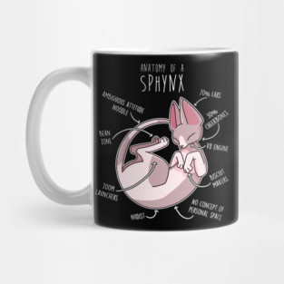 Sphynx Cat Anatomy Mug