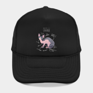 Sphynx Cat Anatomy Hat