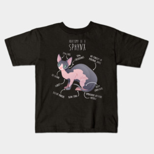 Sphynx Cat Anatomy Kids T-Shirt