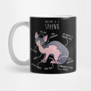Sphynx Cat Anatomy Mug