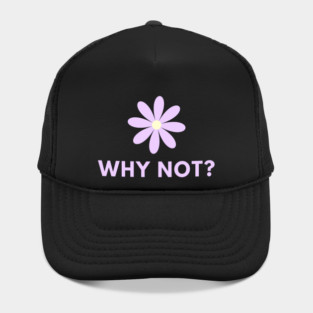 Why Not Hat