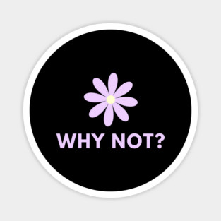 Why Not Magnet
