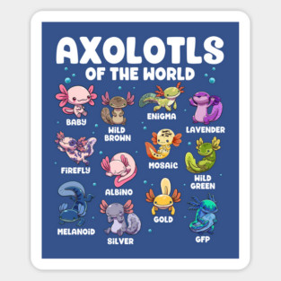 Axolotls of the World Sticker