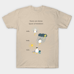 Three Types of Weather T-Shirt
