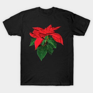 Three Christmas Poinsettias T-Shirt