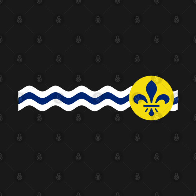 St Louis Missouri City Flag by Yesteeyear