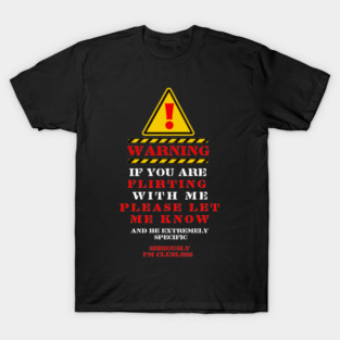 WARNING IF YOU ARE FLIRTING WITH ME T-Shirt