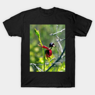 The Flying Duck Orchid T-Shirt