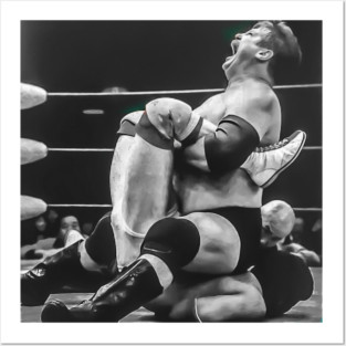 Stan Hansen Texas Crab Posters and Art