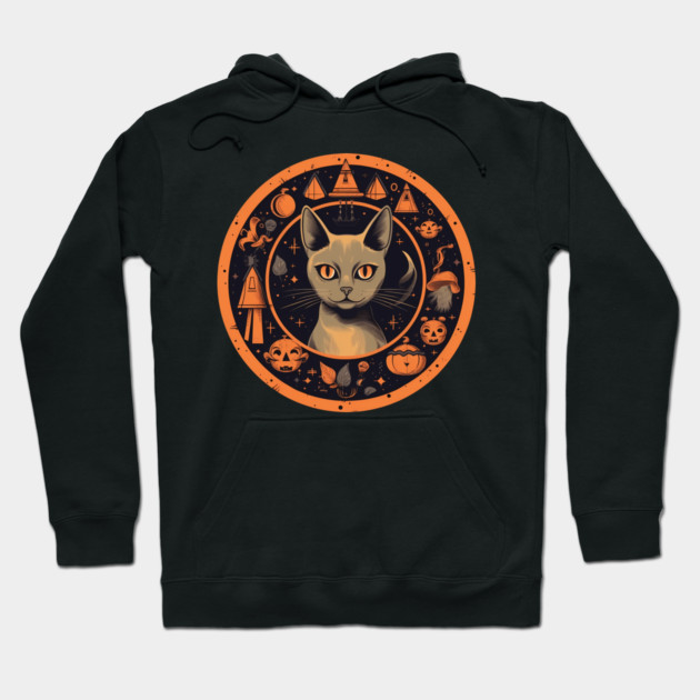 Abyssinian Cat Halloween, Cat Lover Hoodie by logiamerch
