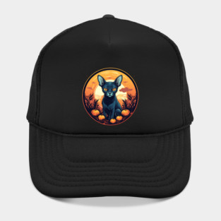 Cornish Rex Cat Halloween, Cat Lover Hat