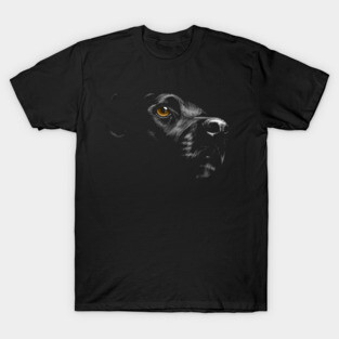 Black Lab Labrador Retriever Gold Eye Retriever Love T-Shirt