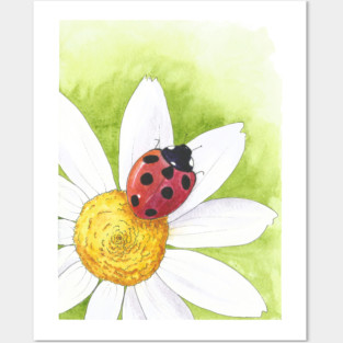 Chamomile; ladybug Posters and Art