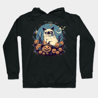 Ragdoll Cat Halloween, Cat Lover Hoodie