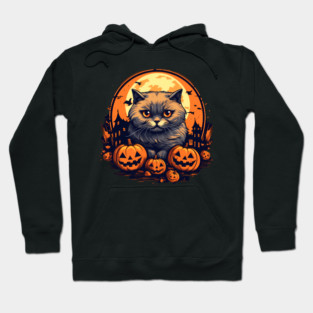 Scottish Fold Cat Halloween, Cat Lover Hoodie