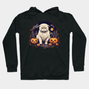 Scottish Fold Cat Halloween, Cat Lover Hoodie