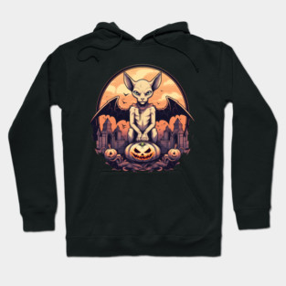 Sphynx Cat Halloween, Cat Lover Hoodie