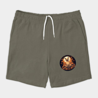 Tonkinese Cat Halloween, Cat Lover Shorts