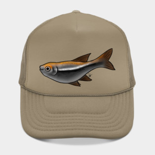 Fish - Tetras - Black Tetra Hat