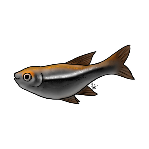 Fish - Tetras - Black Tetra by Jen's Dogs Custom Gifts and Designs
