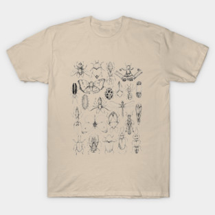 Insects T-Shirt
